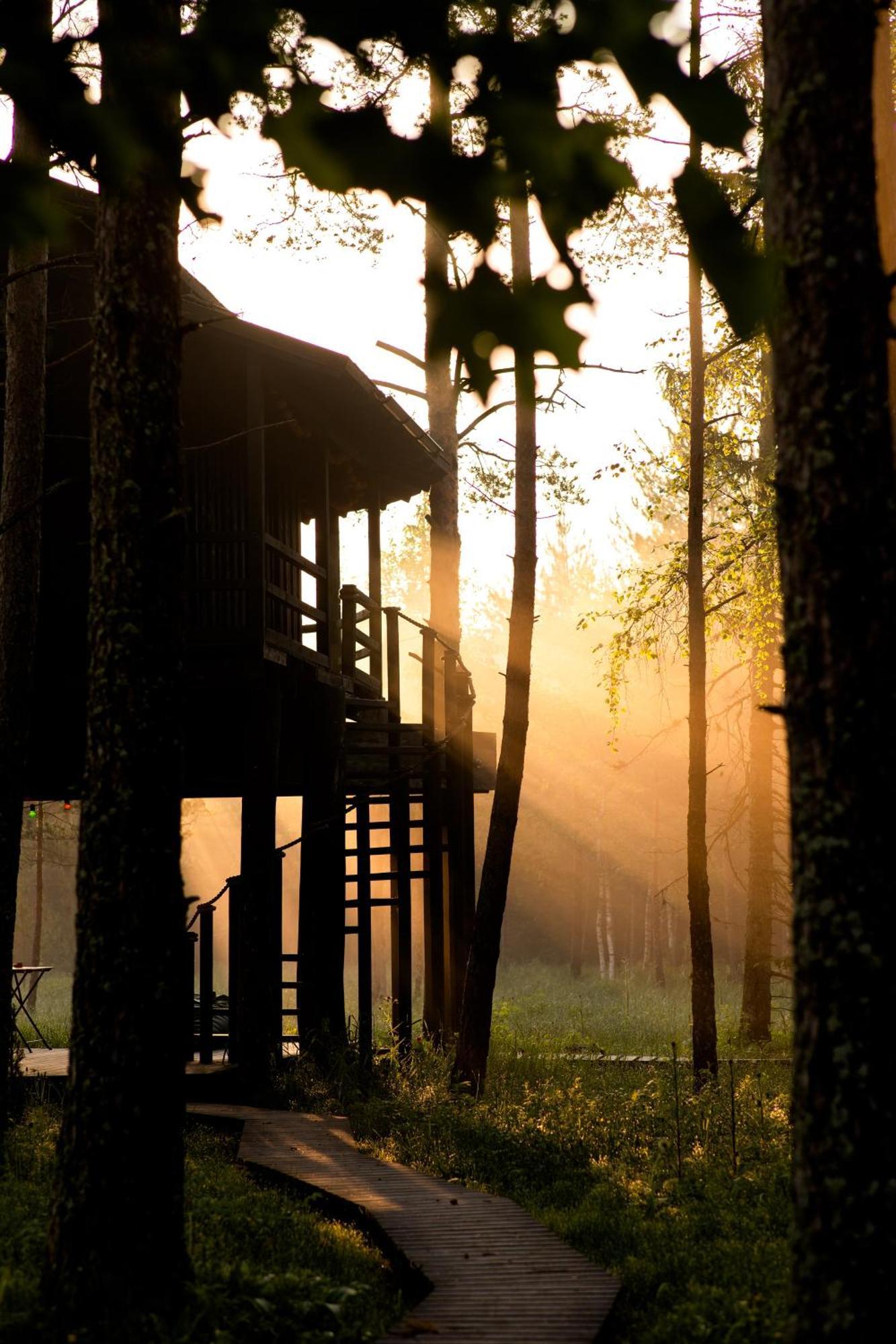 Villa Sambliku Treehouse Jogisoo Exterior foto
