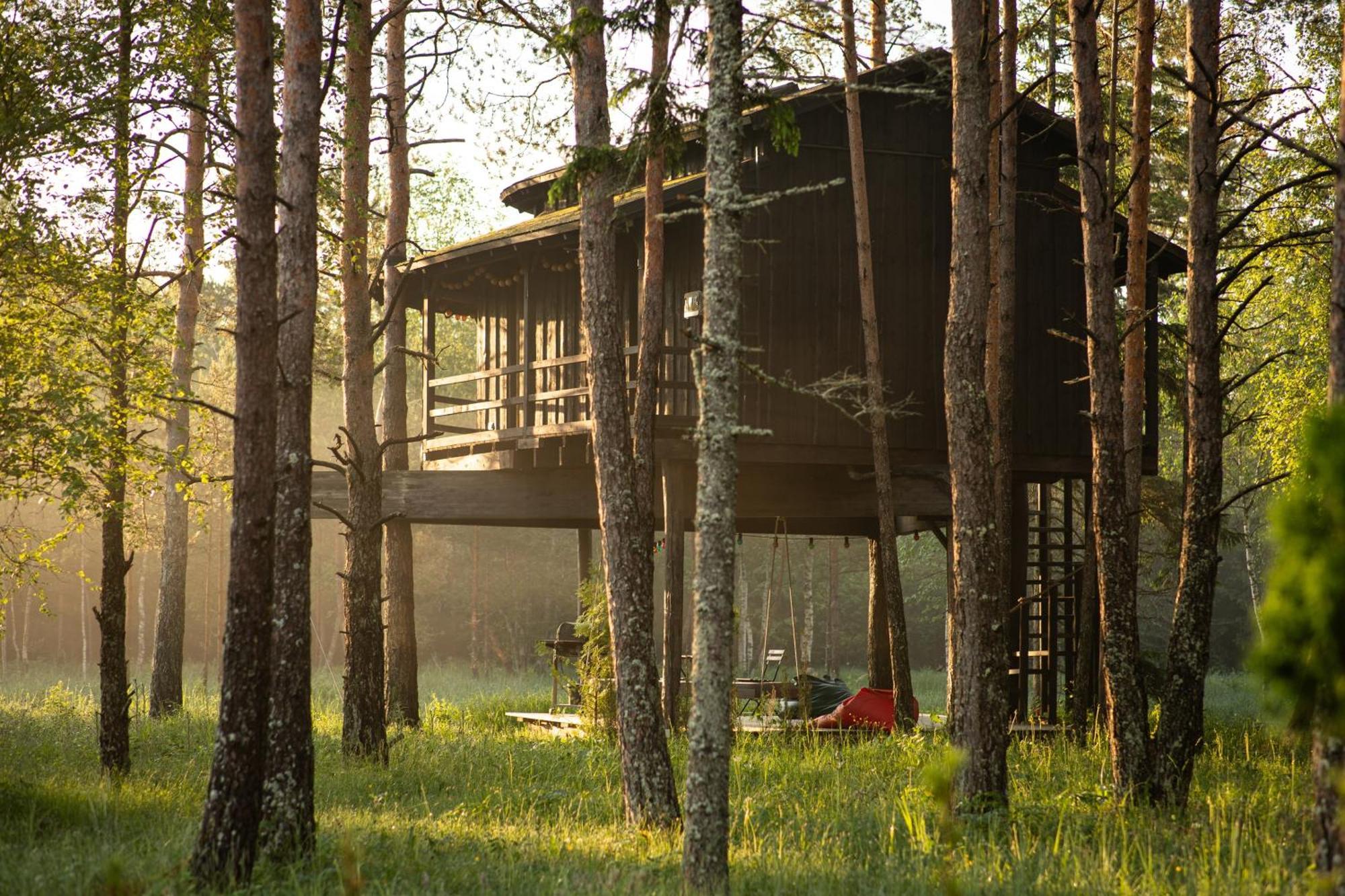 Villa Sambliku Treehouse Jogisoo Exterior foto